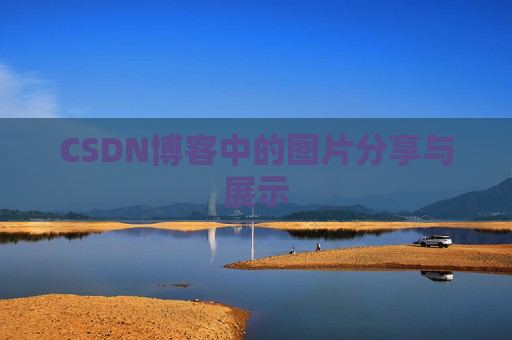 CSDN博客中的图片分享与展示